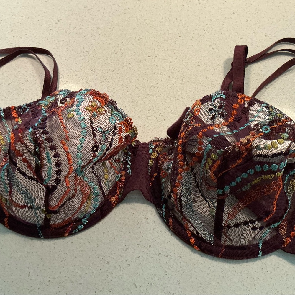 Passionata Elegant Multicolor Embroidered Lace Bra